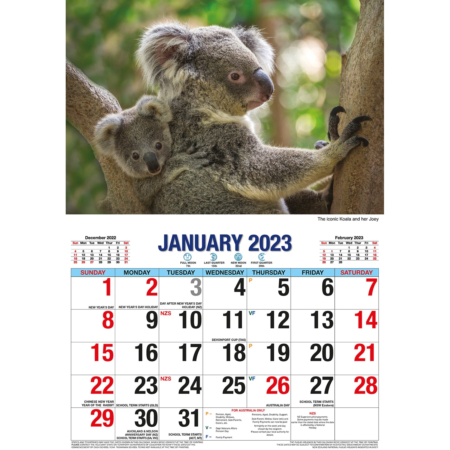 Australian Icons - 2023 Rectangle Wall Calendar 16 Months Planner New Year Gift V474-544977