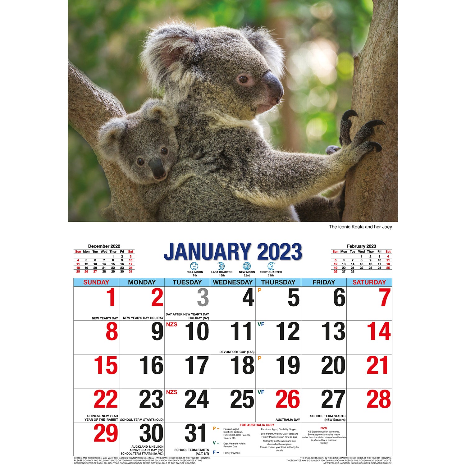 Australian Icons - 2023 Rectangle Wall Calendar 16 Months Planner New Year Gift V474-544977