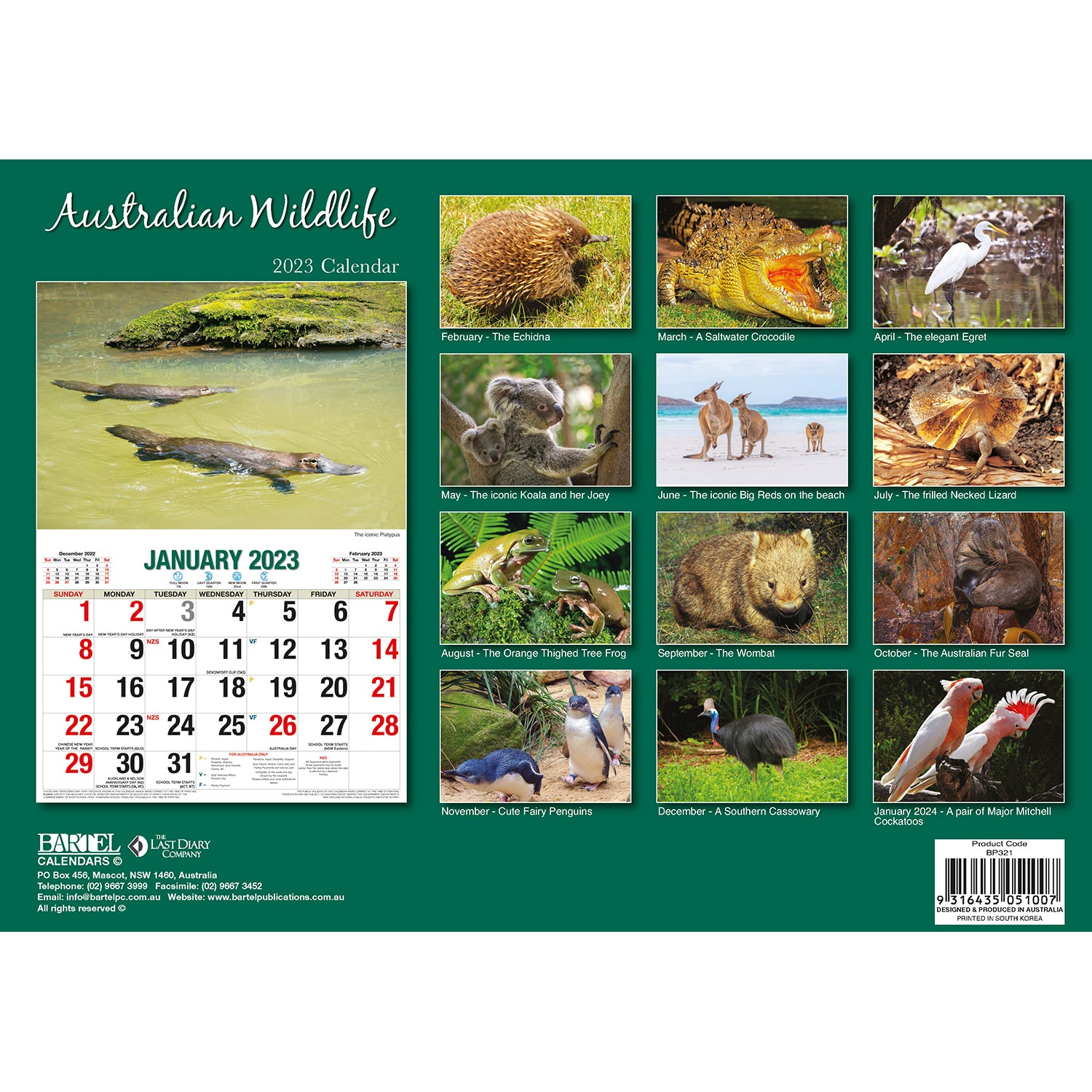 2023 Australian Wildlife Rectangle Wall Calendar 16 Months Planner New Year Gift V474-544979