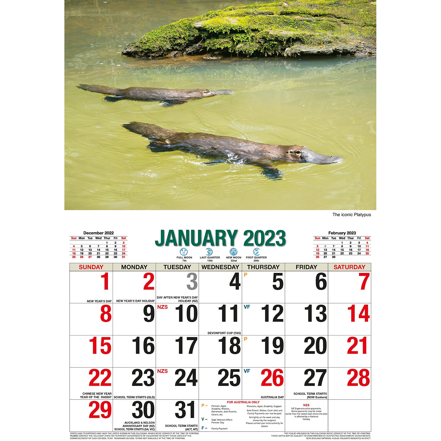 2023 Australian Wildlife Rectangle Wall Calendar 16 Months Planner New Year Gift V474-544979
