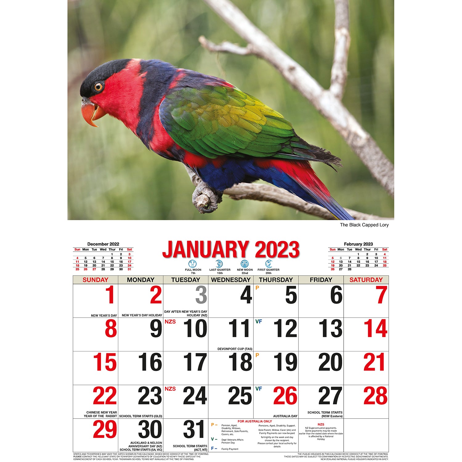 Australian Birds - 2023 Rectangle Wall Calendar 16 Months Planner New Year Gift V474-544980