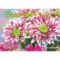 Beautiful Flowers - 2024 Rectangle Wall Calendar 16 Months Floral Art Home Decor V474-614552