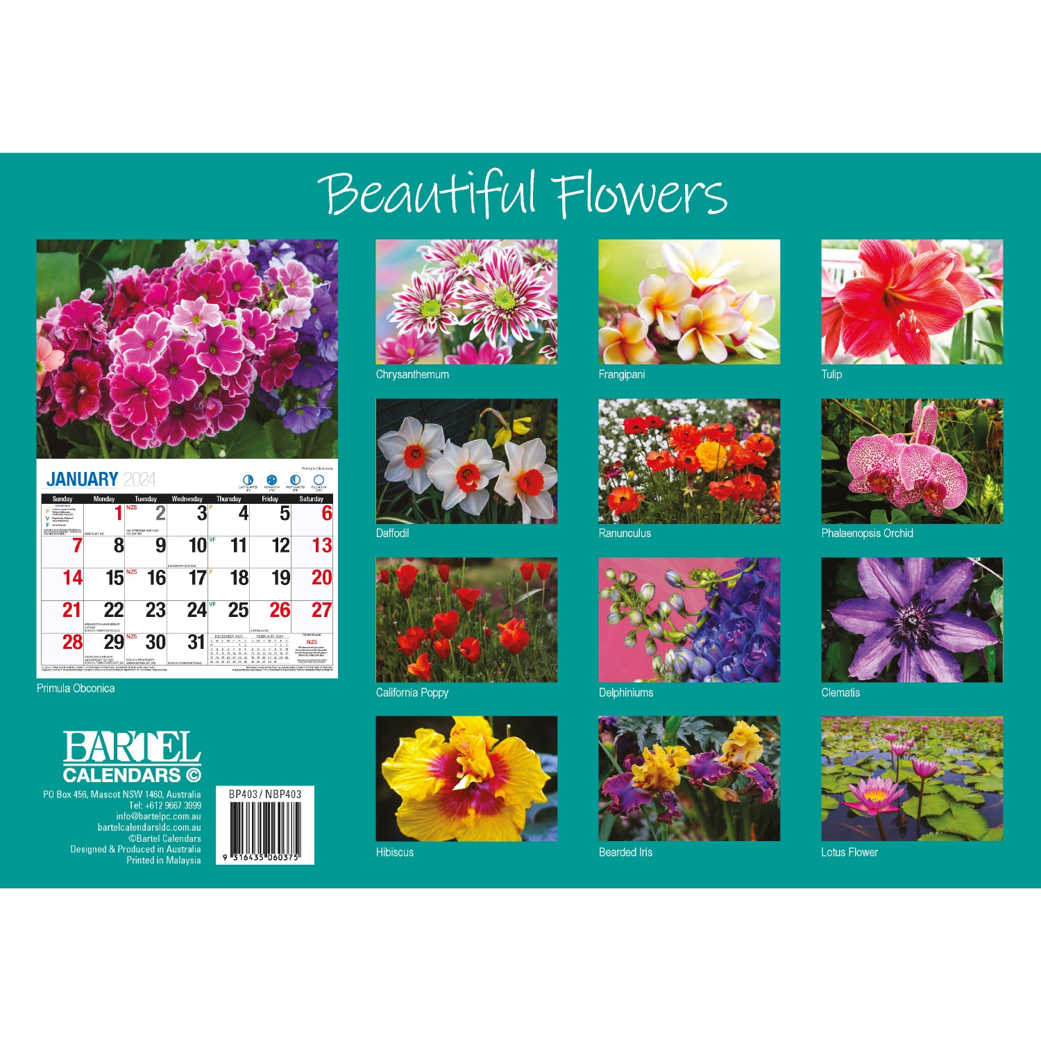 Beautiful Flowers - 2024 Rectangle Wall Calendar 16 Months Floral Art Home Decor V474-614552