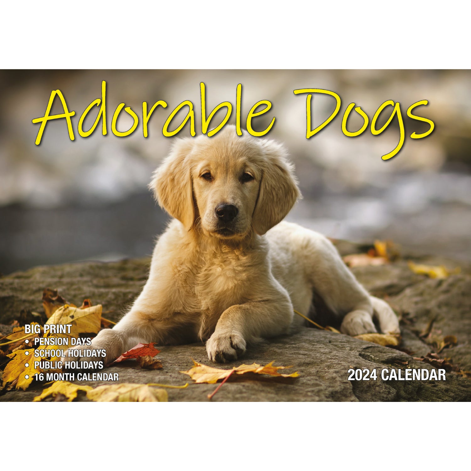 Adorable Dogs 2024 Rectangle Wall Calendar 16 Months Planner Cute Animal Photos V474-614558