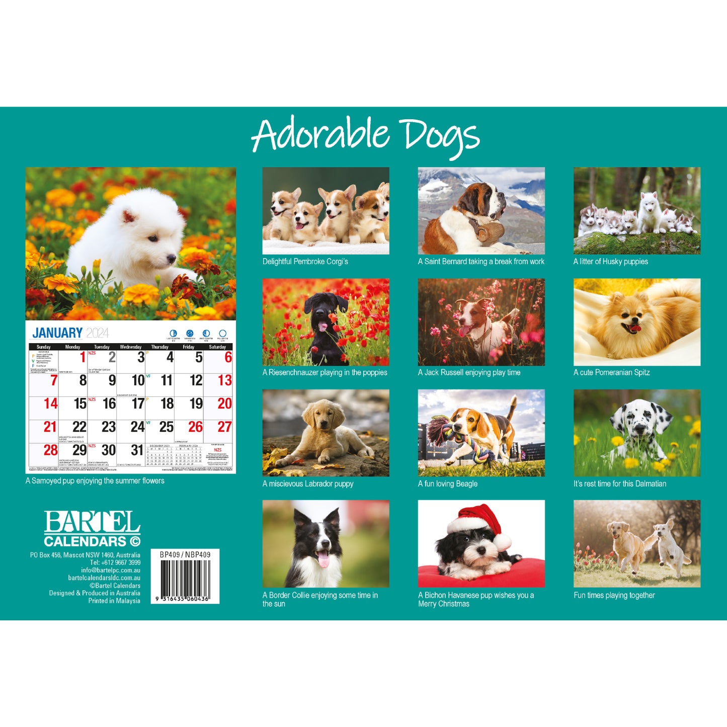 Adorable Dogs 2024 Rectangle Wall Calendar 16 Months Planner Cute Animal Photos V474-614558