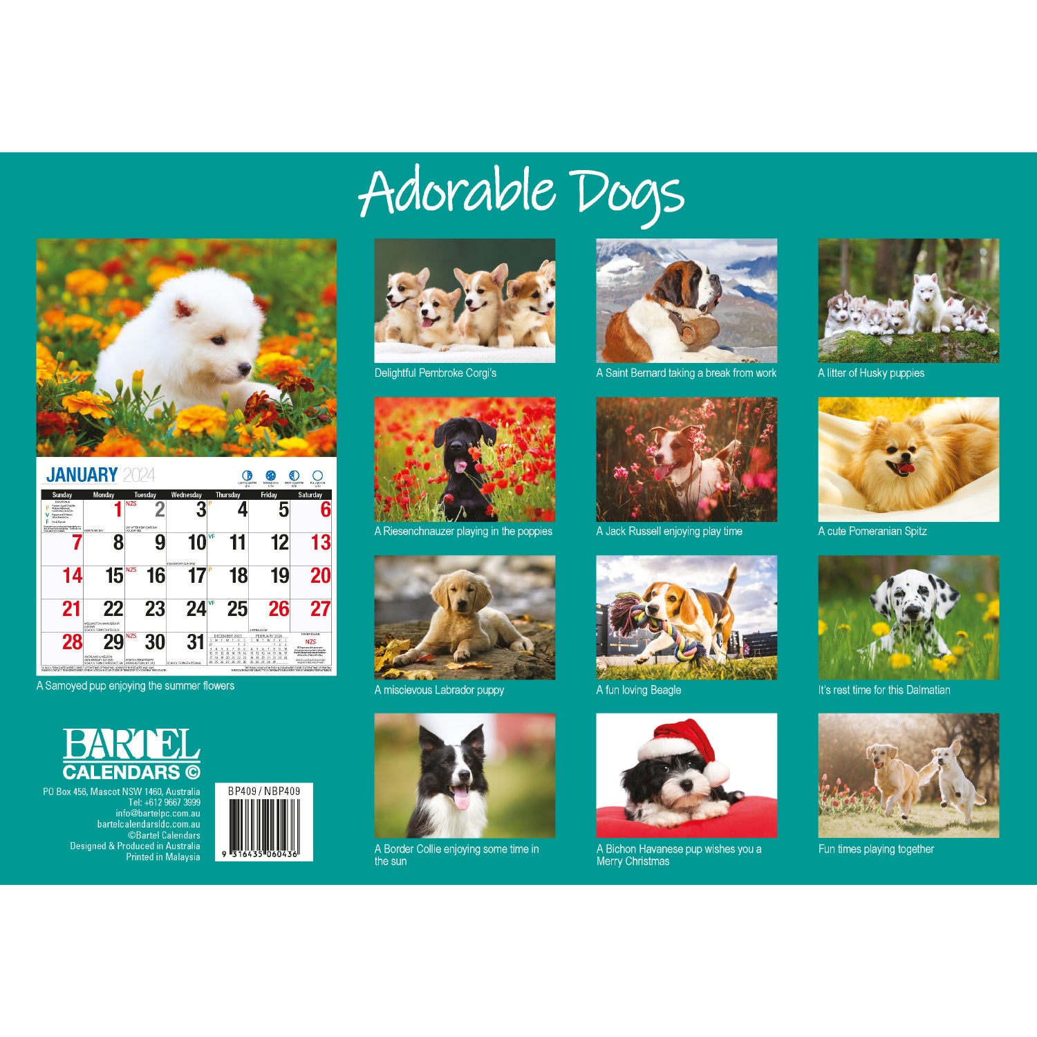 Adorable Dogs 2024 Rectangle Wall Calendar 16 Months Planner Cute Animal Photos V474-614558
