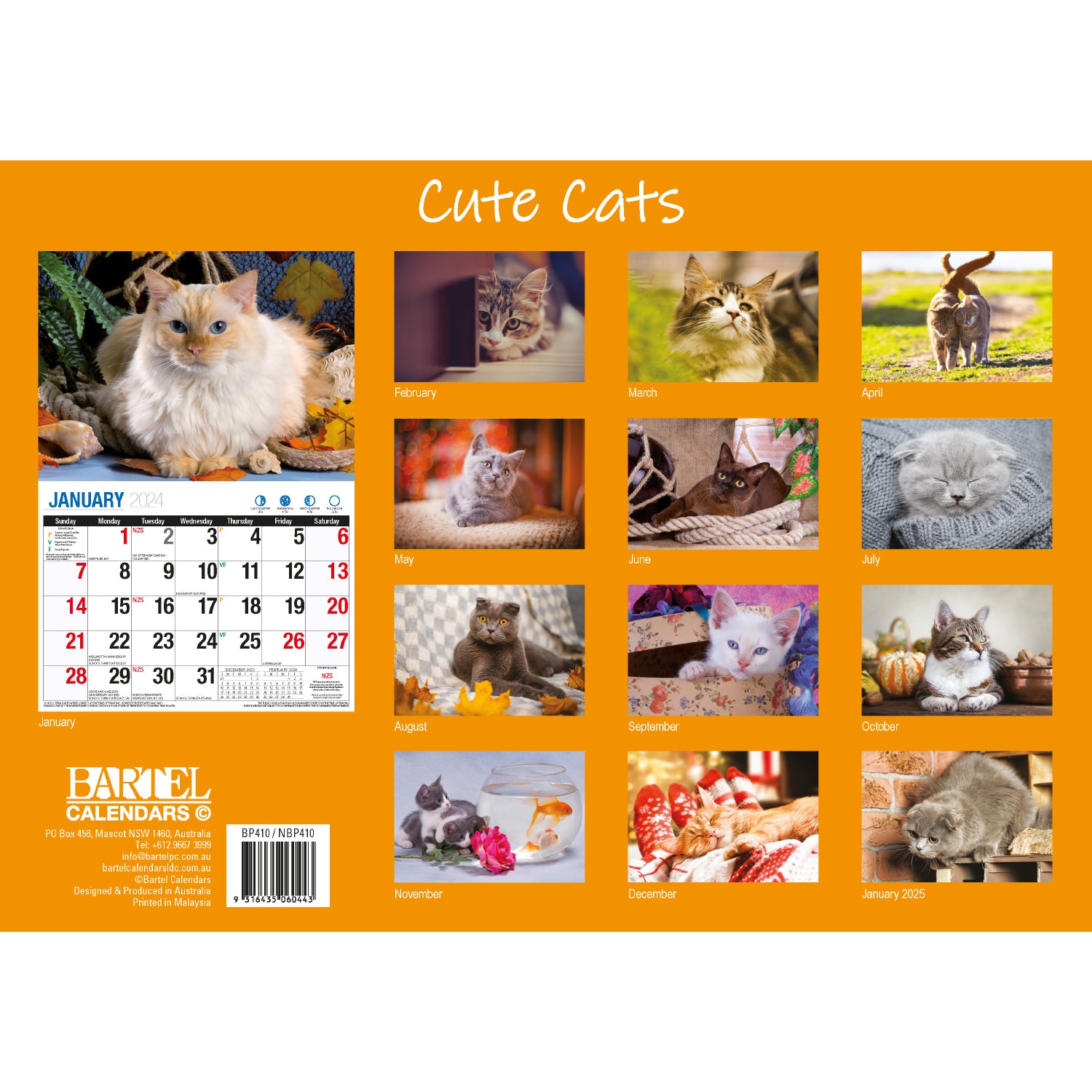 Cute Cats - 2024 Rectangle Wall Calendar 16 Months Planner Animal Pets Photos V474-614559