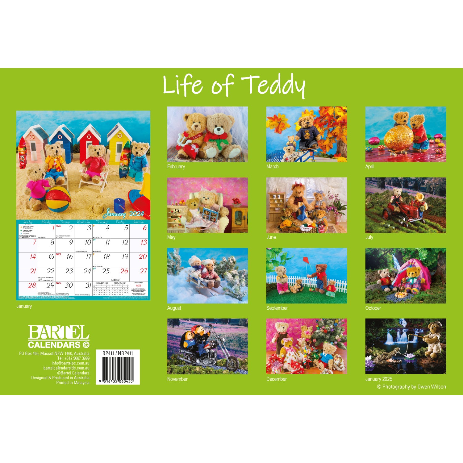 Life of Teddy - 2024 Rectangle Wall Calendar 13 Months Planner Adventures Gift V474-614560