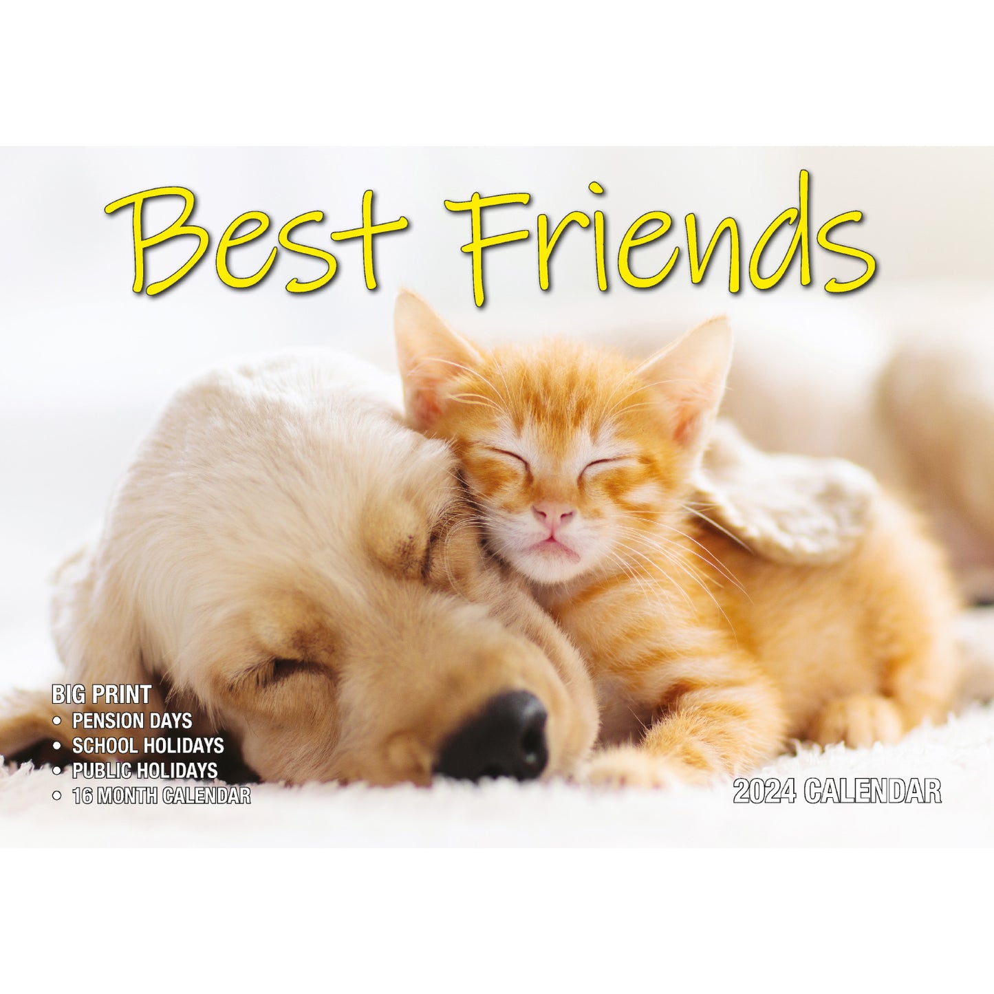 Best Friends - 2024 Rectangle Wall Calendar 16 Months Animals Friendship Moments V474-614561