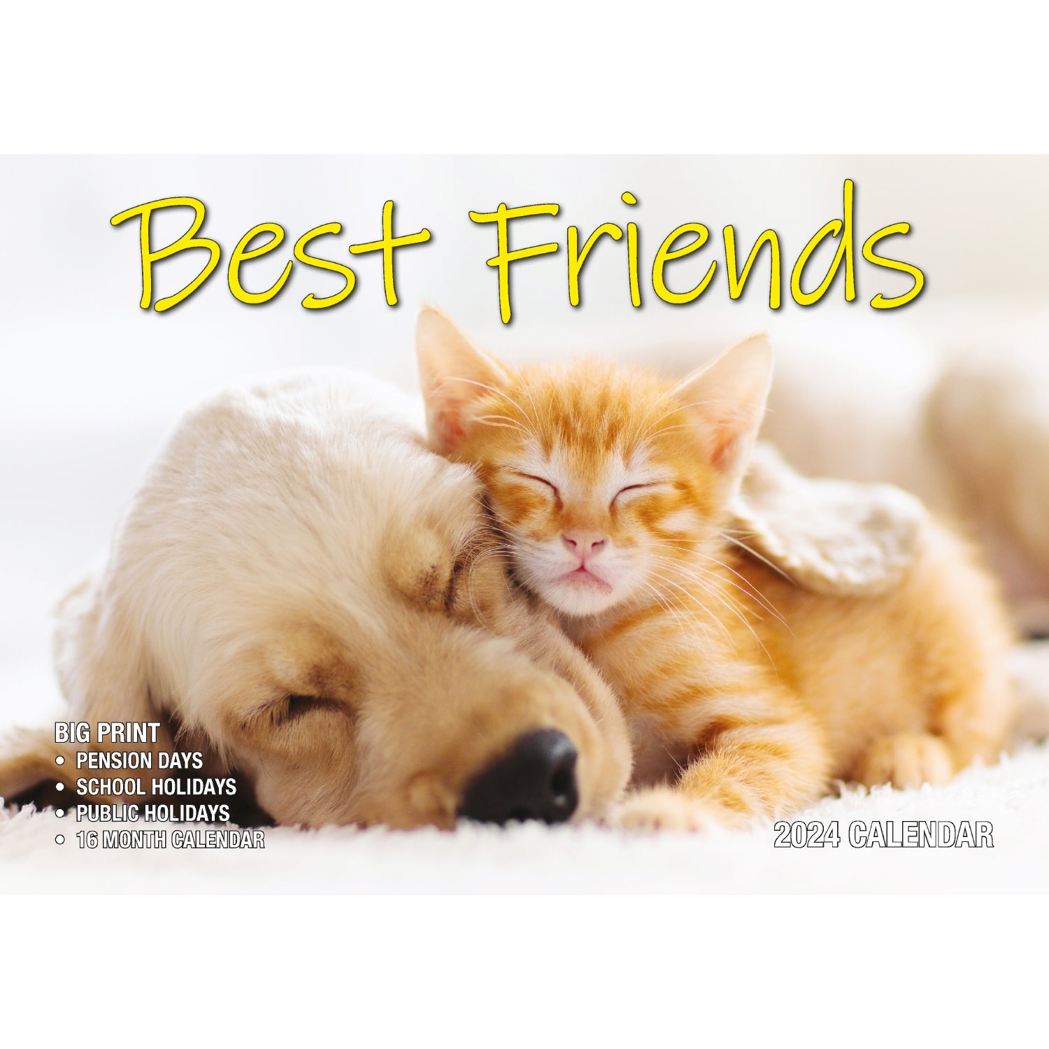 Best Friends - 2024 Rectangle Wall Calendar 16 Months Animals Friendship Moments V474-614561