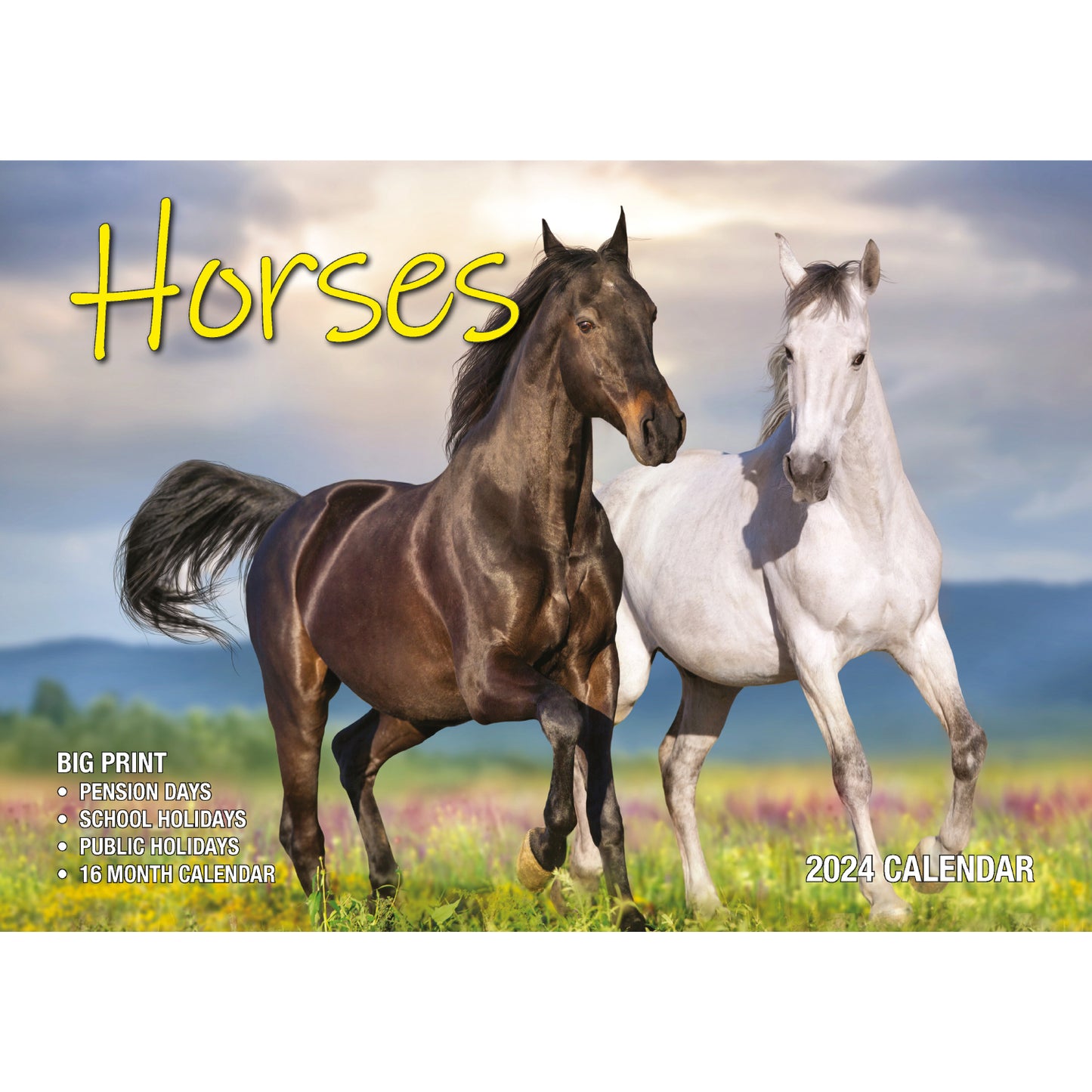 Horses - 2024 Rectangle Wall Calendar 16 Months Animal Planner New Year Gift V474-614562