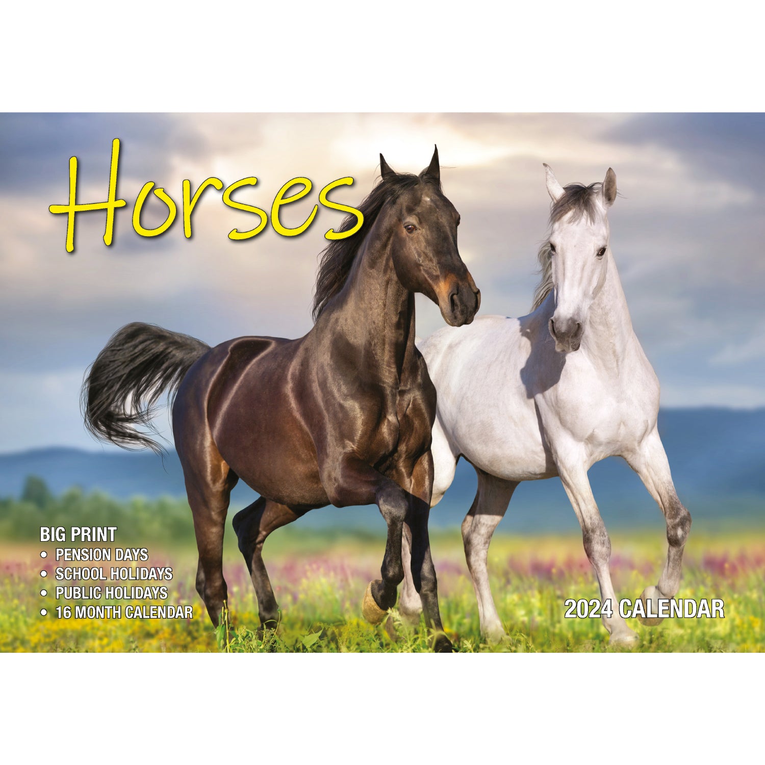 Horses - 2024 Rectangle Wall Calendar 16 Months Animal Planner New Year Gift V474-614562