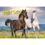 Horses - 2024 Rectangle Wall Calendar 16 Months Animal Planner New Year Gift V474-614562