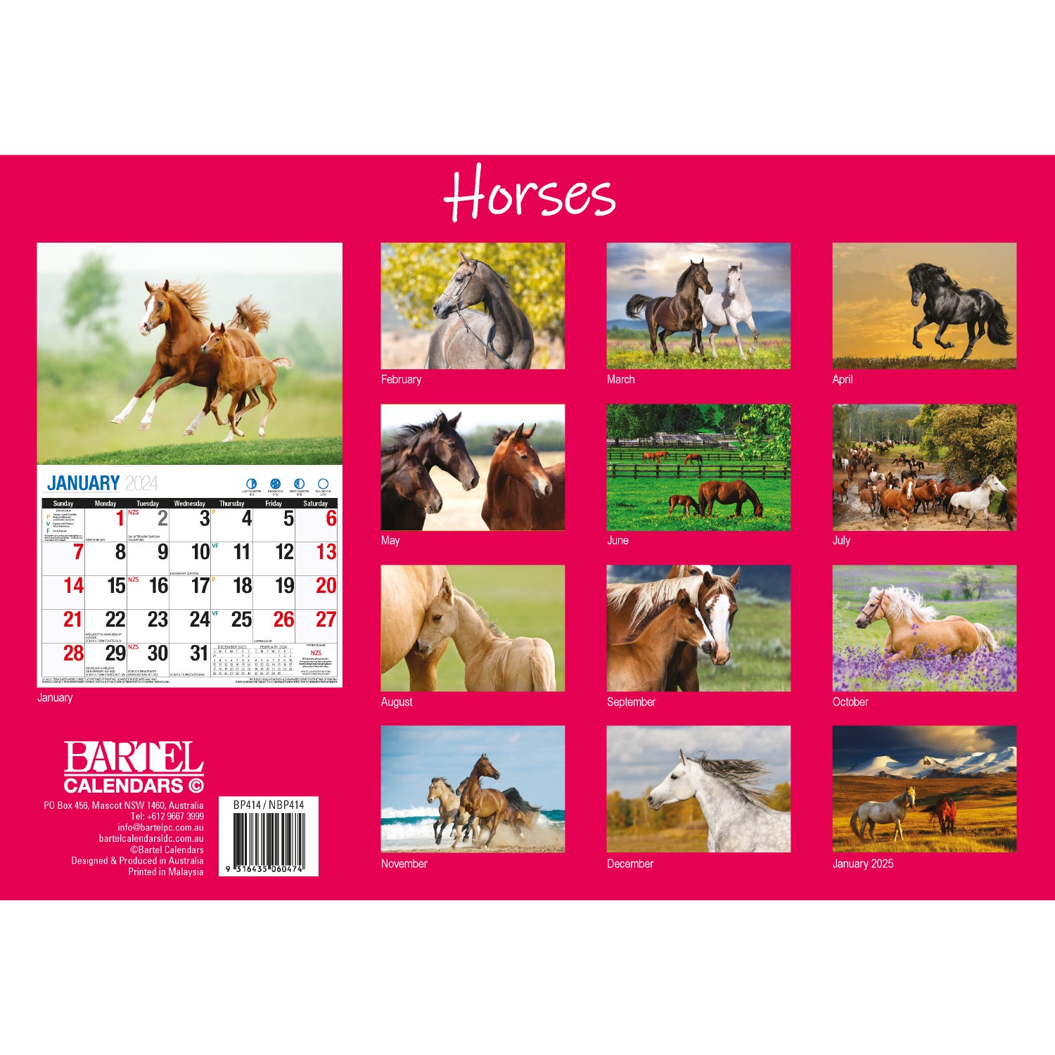 Horses - 2024 Rectangle Wall Calendar 16 Months Animal Planner New Year Gift V474-614562