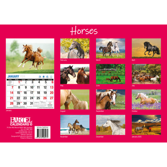 Horses - 2024 Rectangle Wall Calendar 16 Months Animal Planner New Year Gift V474-614562