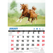 Horses - 2024 Rectangle Wall Calendar 16 Months Animal Planner New Year Gift V474-614562