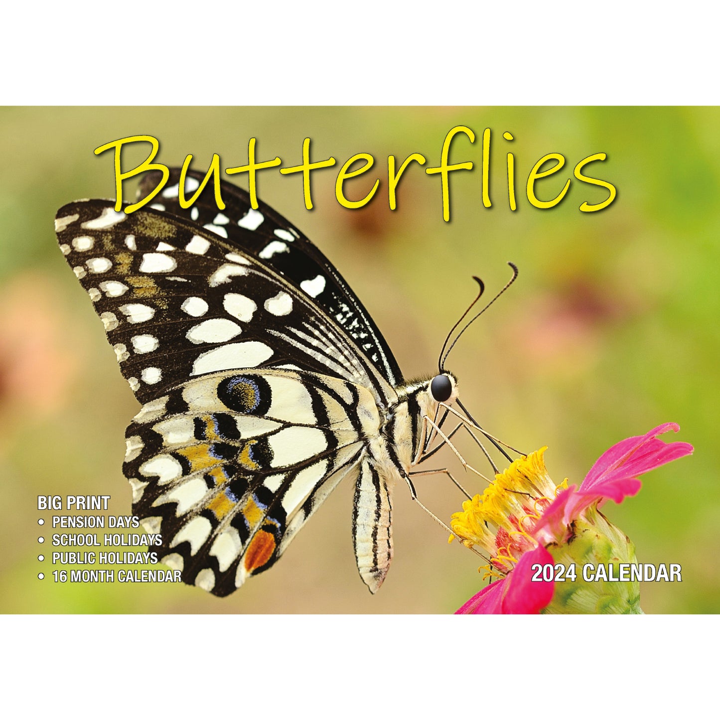 Butterflies - 2024 Rectangle Wall Calendar 16 Months Colorful Butterfly Photos V474-614564
