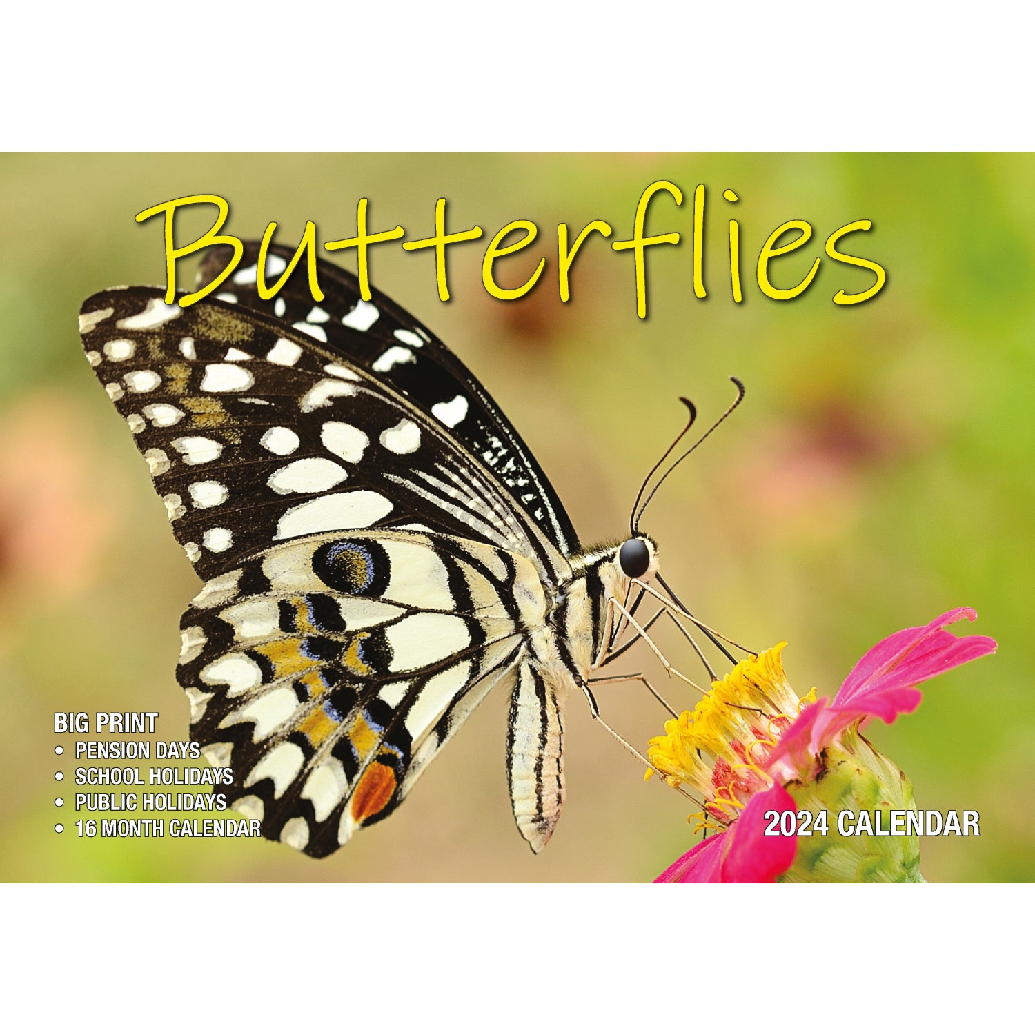 Butterflies - 2024 Rectangle Wall Calendar 16 Months Colorful Butterfly Photos V474-614564