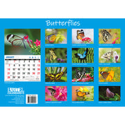 Butterflies - 2024 Rectangle Wall Calendar 16 Months Colorful Butterfly Photos V474-614564