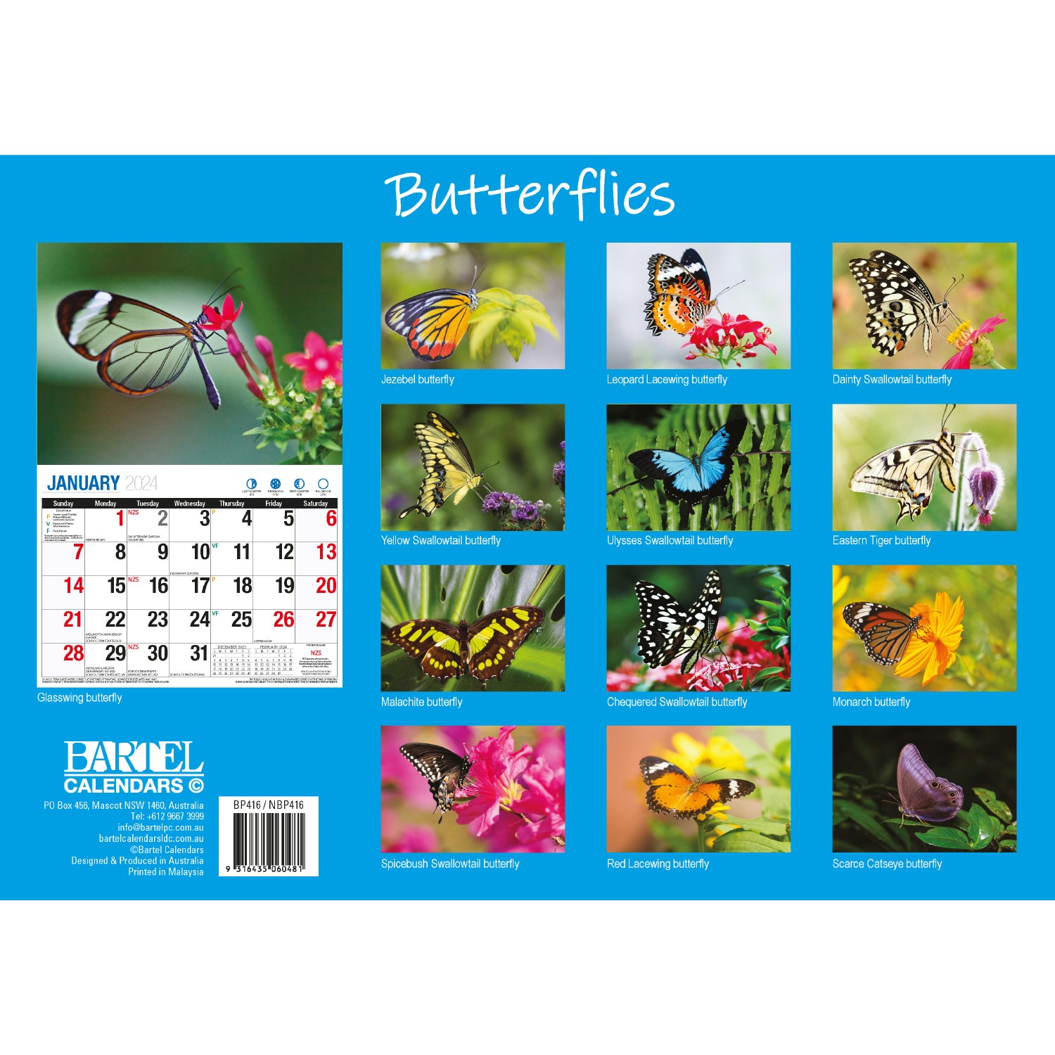 Butterflies - 2024 Rectangle Wall Calendar 16 Months Colorful Butterfly Photos V474-614564