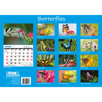 Butterflies - 2024 Rectangle Wall Calendar 16 Months Colorful Butterfly Photos V474-614564