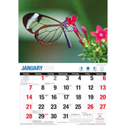 Butterflies - 2024 Rectangle Wall Calendar 16 Months Colorful Butterfly Photos V474-614564