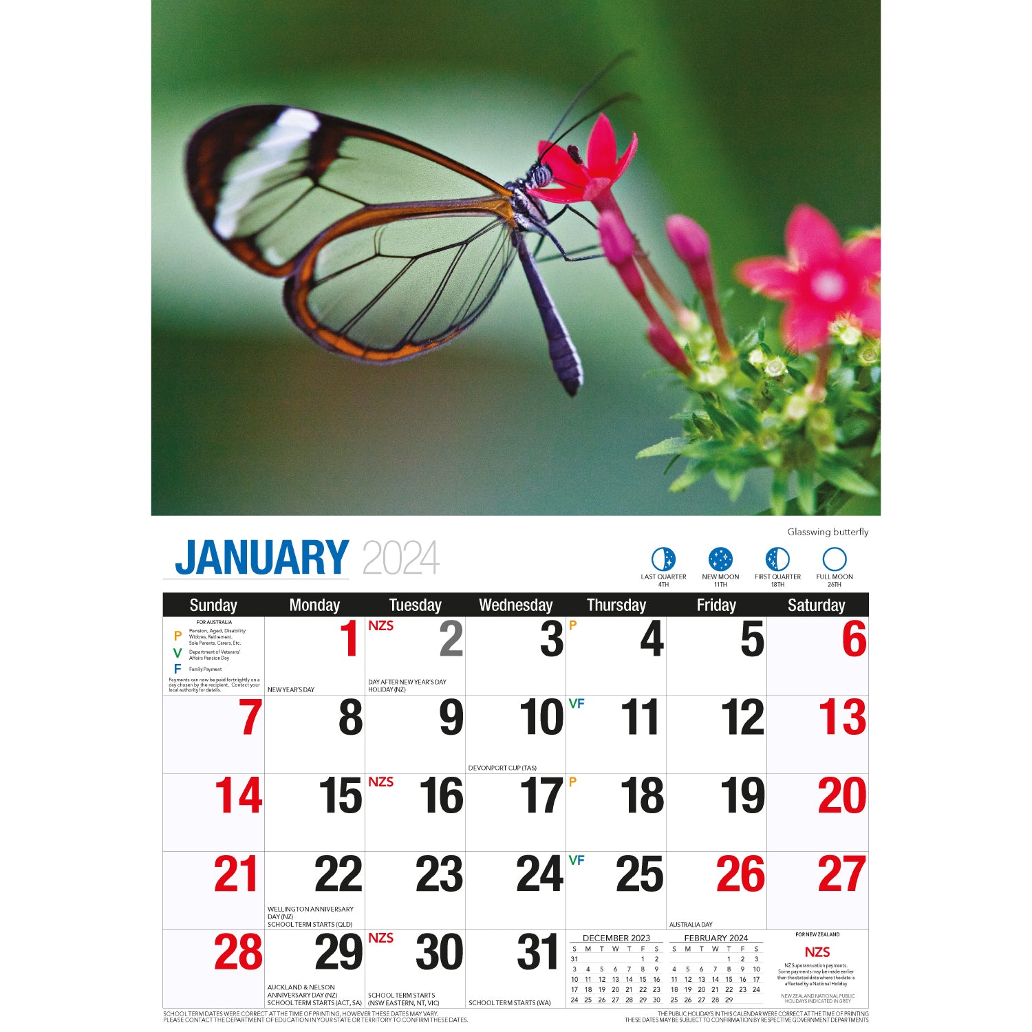 Butterflies - 2024 Rectangle Wall Calendar 16 Months Colorful Butterfly Photos V474-614564