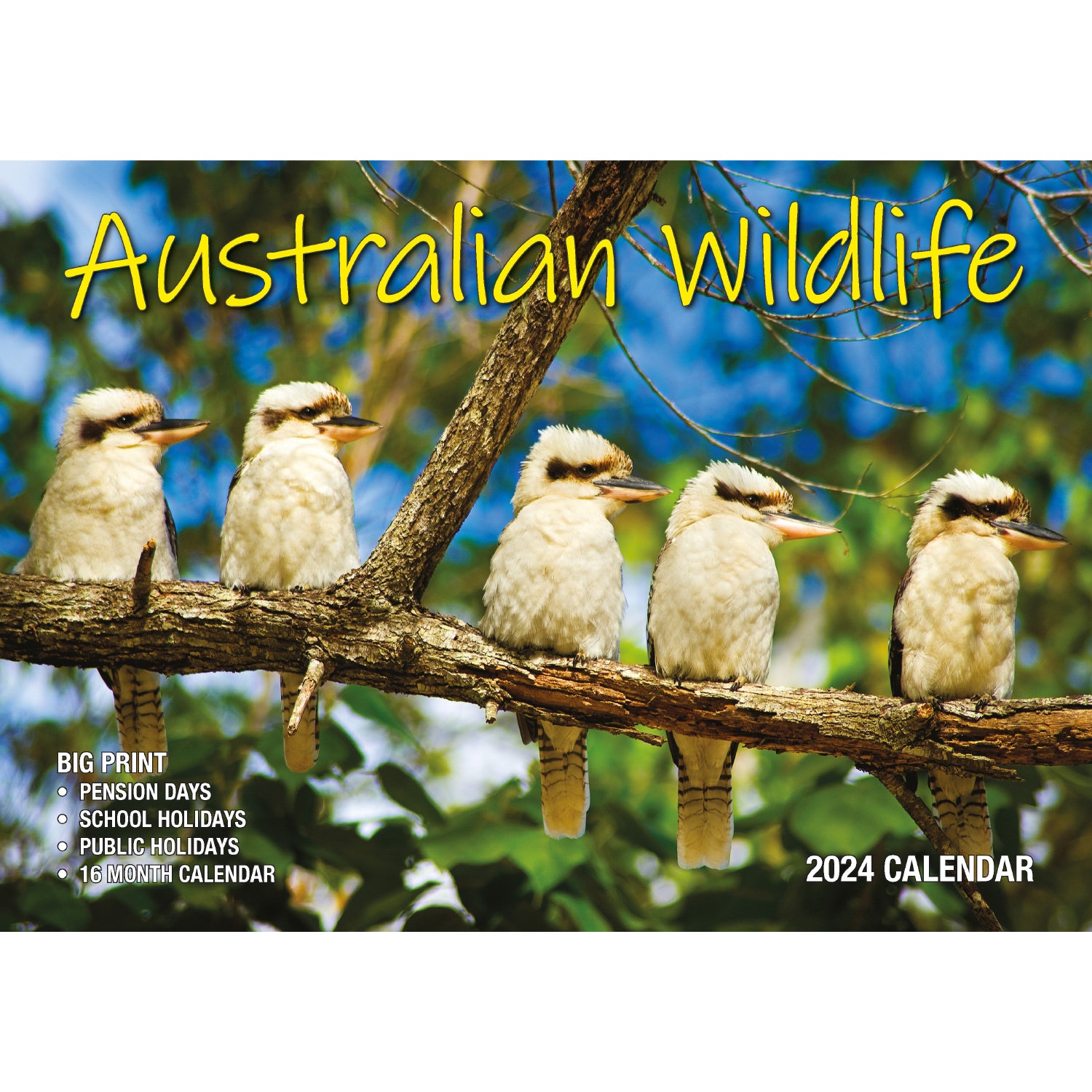 Australian Wildlife - 2024 Rectangle Wall Calendar 16 Months Animal Photography V474-614569