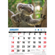 Australian Wildlife - 2024 Rectangle Wall Calendar 16 Months Animal Photography V474-614569