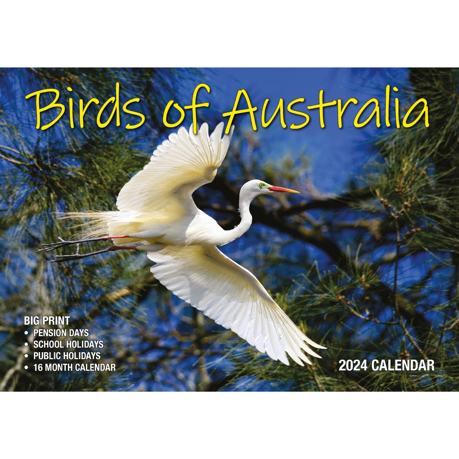 Birds Of Australia - 2024 Rectangle Wall Calendar 16 Months Birdwatching Photos V474-614570