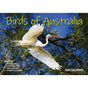 Birds Of Australia - 2024 Rectangle Wall Calendar 16 Months Birdwatching Photos V474-614570