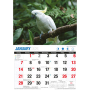 Birds Of Australia - 2024 Rectangle Wall Calendar 16 Months Birdwatching Photos V474-614570