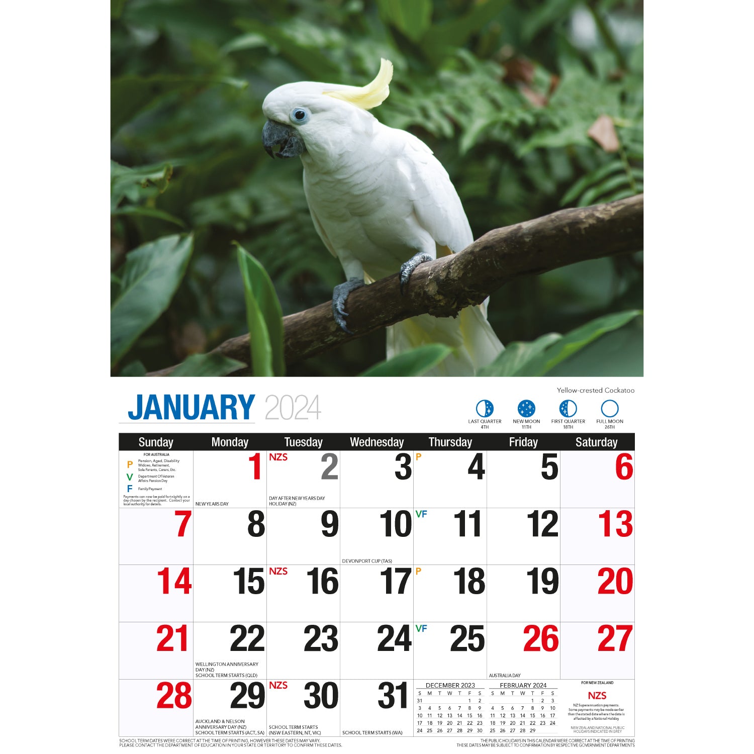 Birds Of Australia - 2024 Rectangle Wall Calendar 16 Months Birdwatching Photos V474-614570