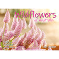 Wildflowers of Australia - 2024 Rectangle Wall Calendar 16 Months Floral Images V474-614571