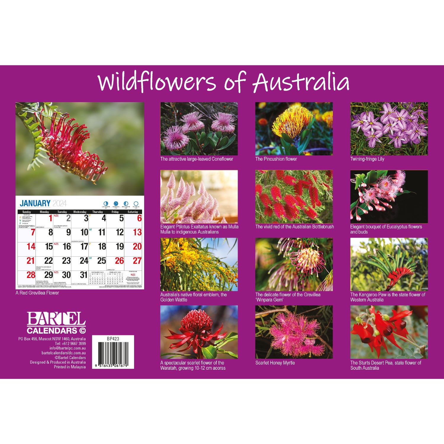 Wildflowers of Australia - 2024 Rectangle Wall Calendar 16 Months Floral Images V474-614571