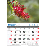 Wildflowers of Australia - 2024 Rectangle Wall Calendar 16 Months Floral Images V474-614571