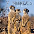 Meerkats - 2024 Square Wall Calendar Pets Animals 16 Months Premium Planner Gift V474-615336