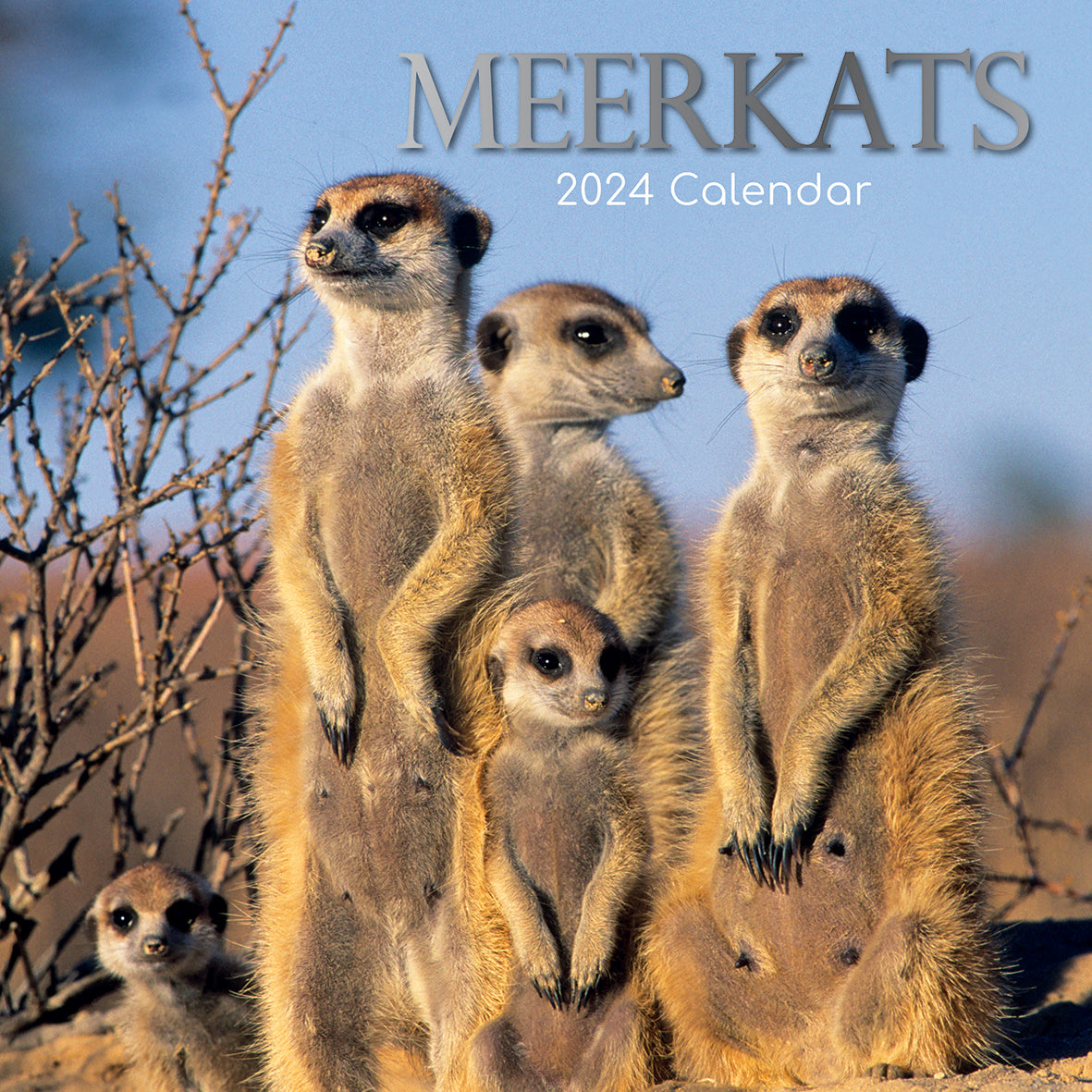 Meerkats - 2024 Square Wall Calendar Pets Animals 16 Months Premium Planner Gift V474-615336