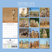 Meerkats - 2024 Square Wall Calendar Pets Animals 16 Months Premium Planner Gift V474-615336