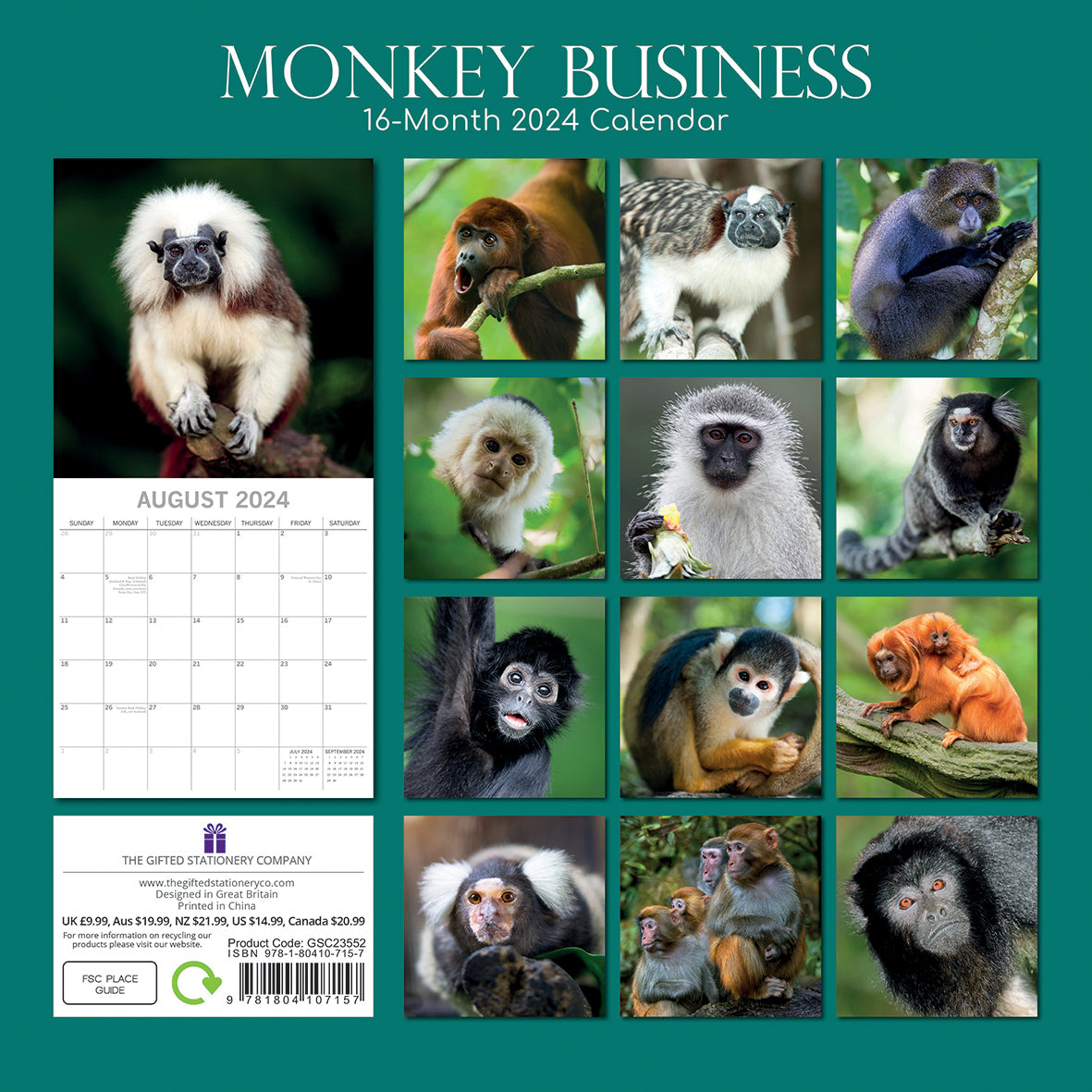 Monkey Business 2024 Square Wall Calendar Pets Animals 16 Months Premium Planner V474-615337
