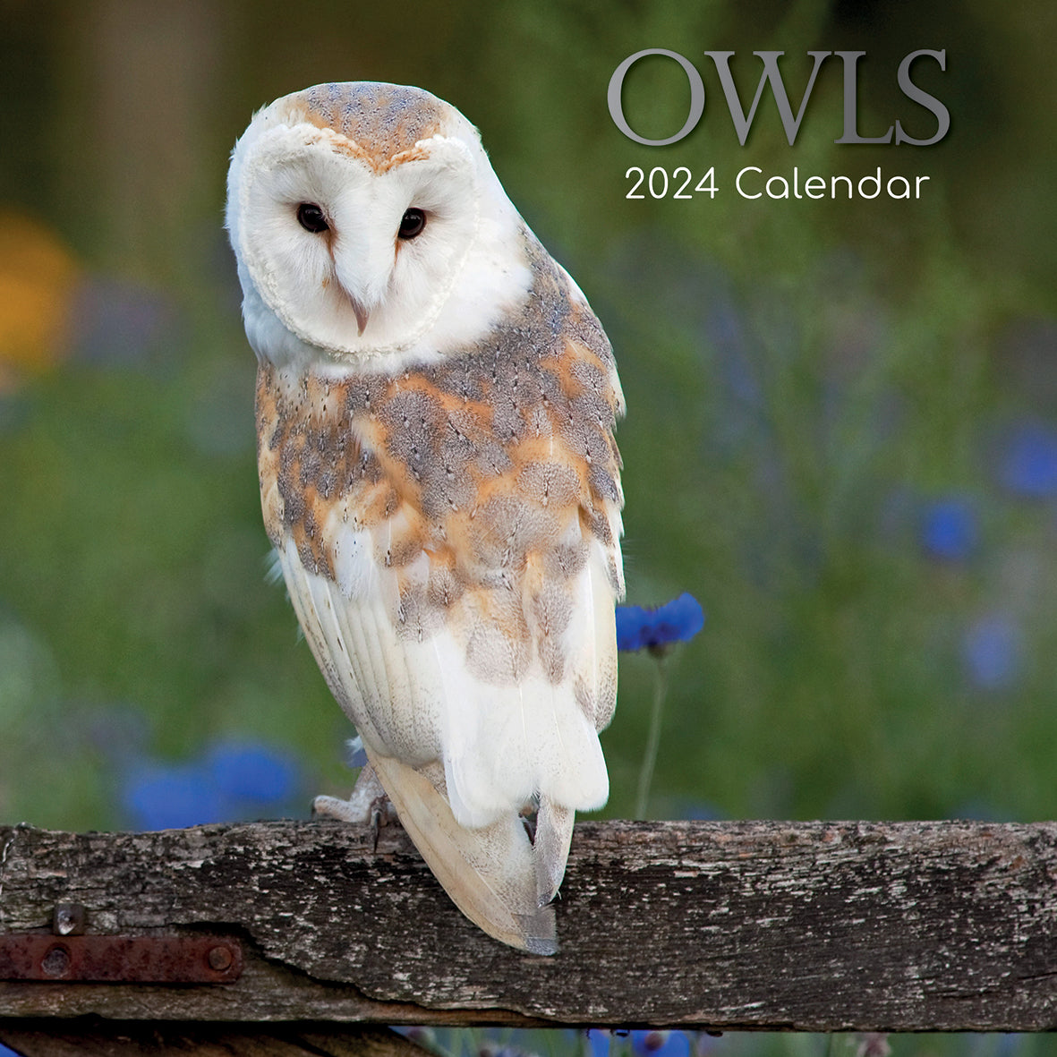 Owls 2024 Square Wall Calendar Pets Animals 16 Months New Year Christmas Planner V474-615338