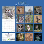 Owls 2024 Square Wall Calendar Pets Animals 16 Months New Year Christmas Planner V474-615338