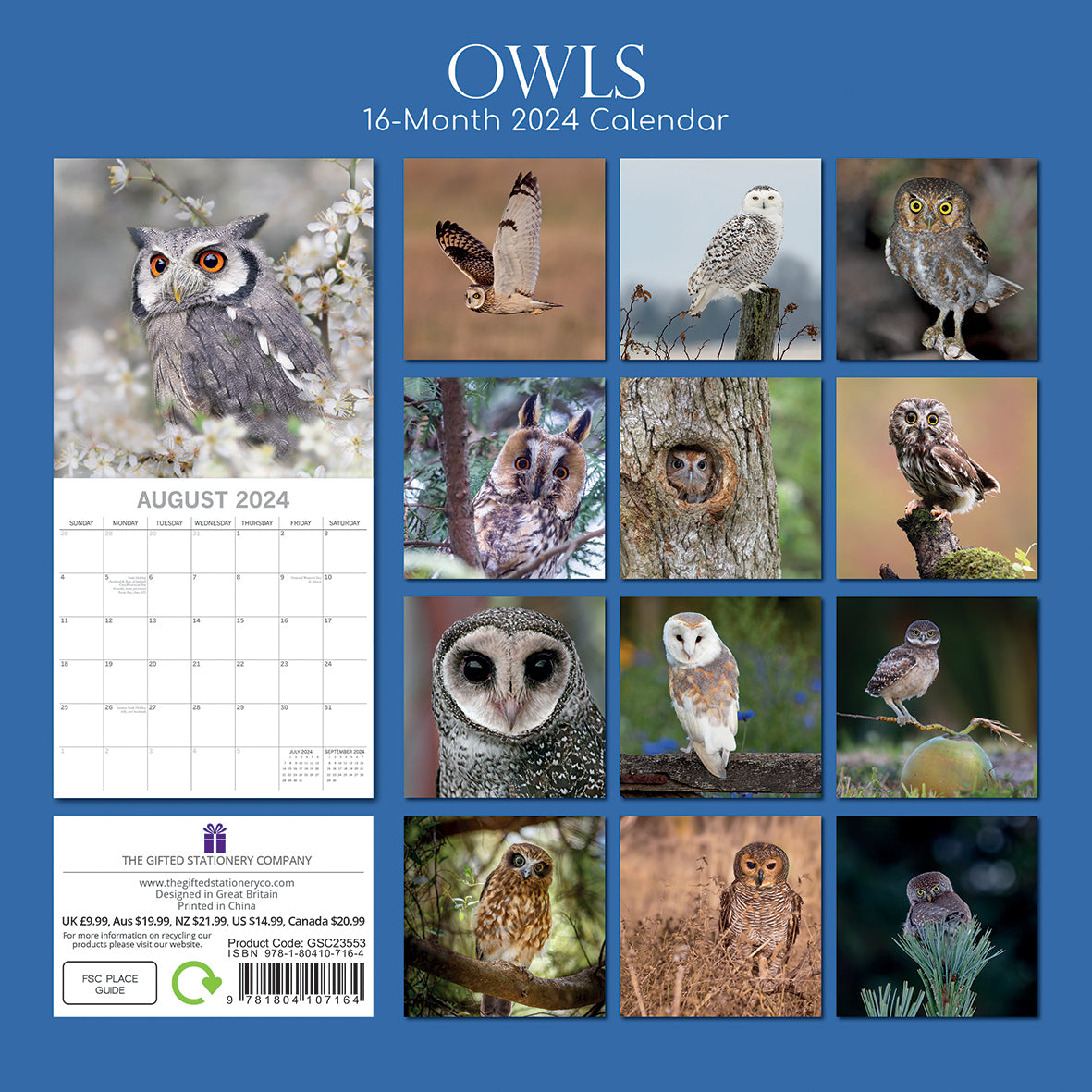 Owls 2024 Square Wall Calendar Pets Animals 16 Months New Year Christmas Planner V474-615338