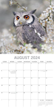 Owls 2024 Square Wall Calendar Pets Animals 16 Months New Year Christmas Planner V474-615338