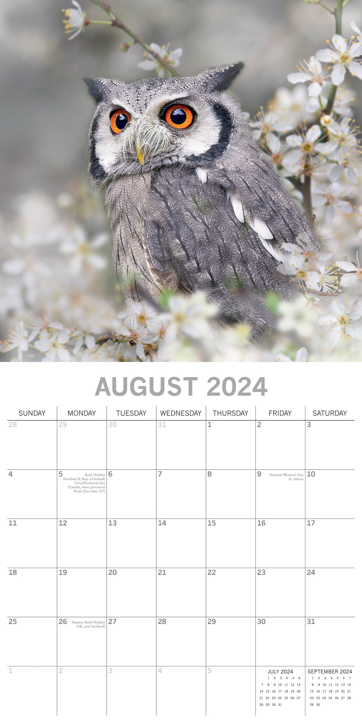 Owls 2024 Square Wall Calendar Pets Animals 16 Months New Year Christmas Planner V474-615338