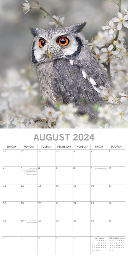 Owls 2024 Square Wall Calendar Pets Animals 16 Months New Year Christmas Planner V474-615338