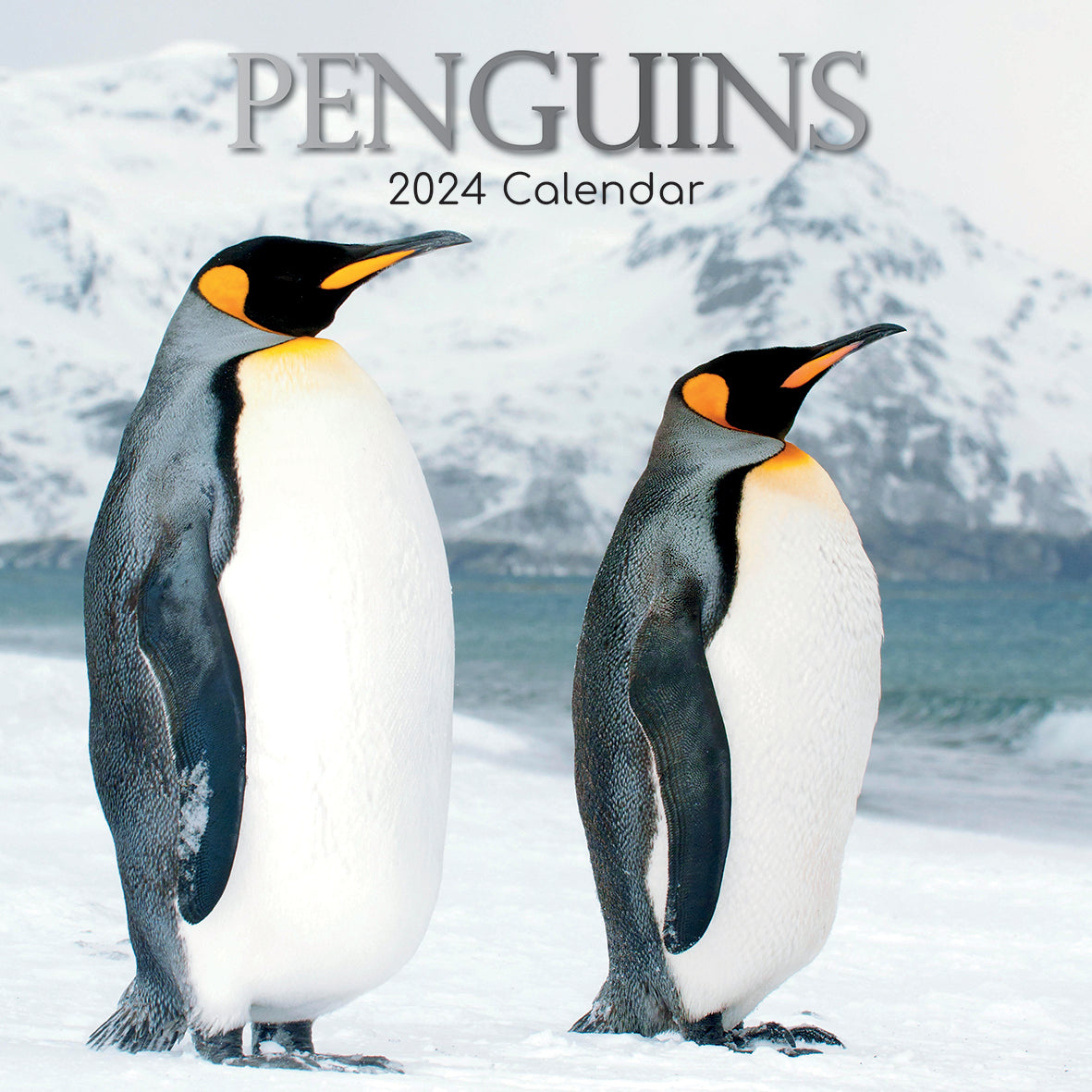 Penguins - 2024 Square Wall Calendar Pets Animals 16 Month New Year Gift Planner V474-615339