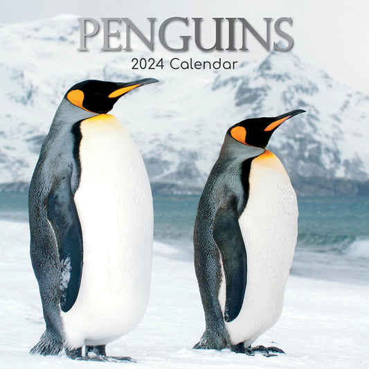 Penguins - 2024 Square Wall Calendar Pets Animals 16 Month New Year Gift Planner V474-615339