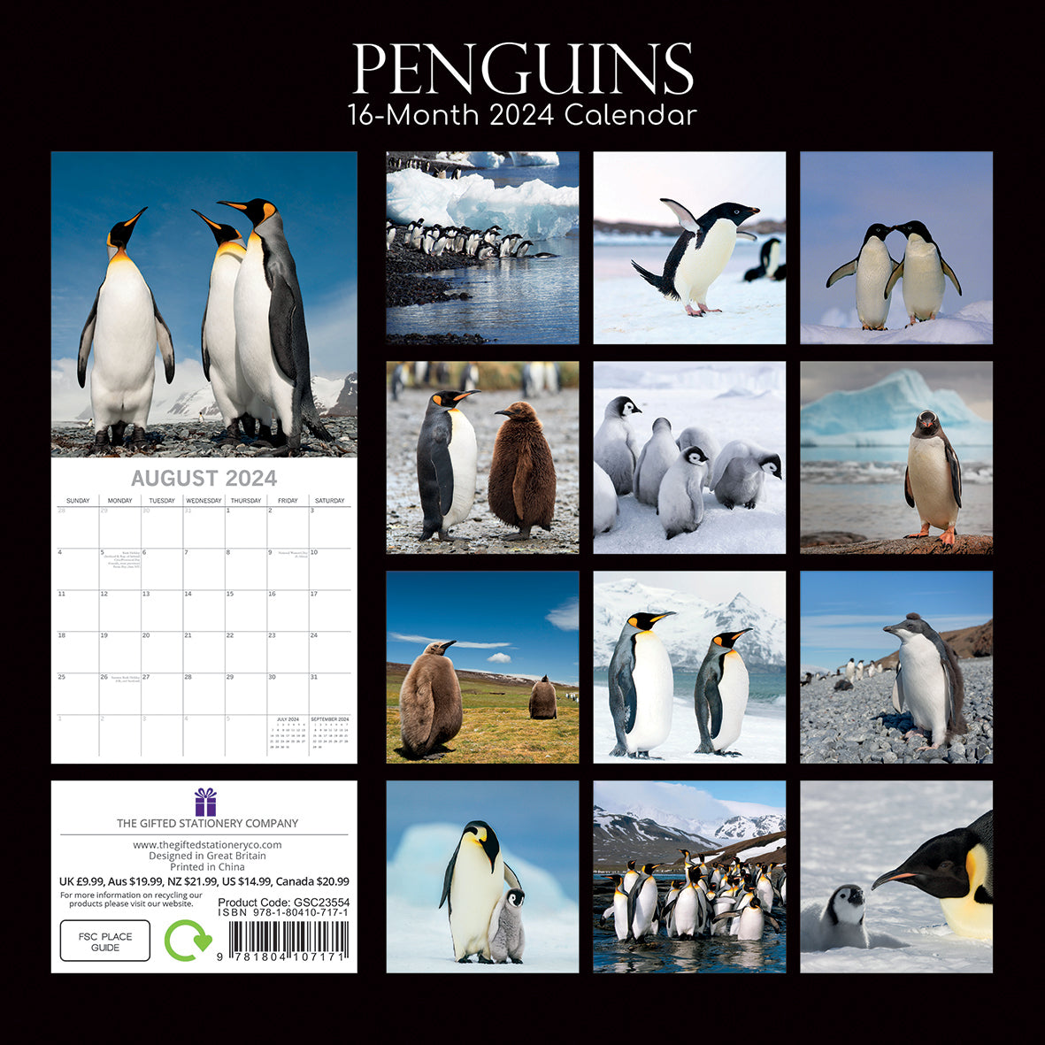 Penguins - 2024 Square Wall Calendar Pets Animals 16 Month New Year Gift Planner V474-615339