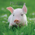 Piggies - 2024 Square Wall Calendar Pets Animals 16 Months New Year Gift Planner V474-615340